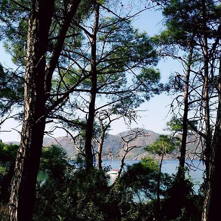 Datca Aktur Holiday Homes * Emecik