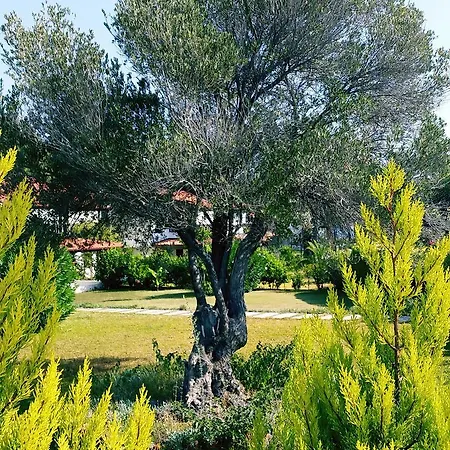 Datca Aktur Holiday Homes Villa