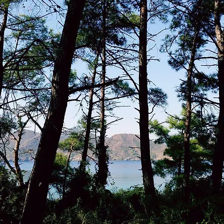 Datca Aktur Holiday Homes