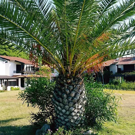 Villa Datca Aktur Holiday Homes