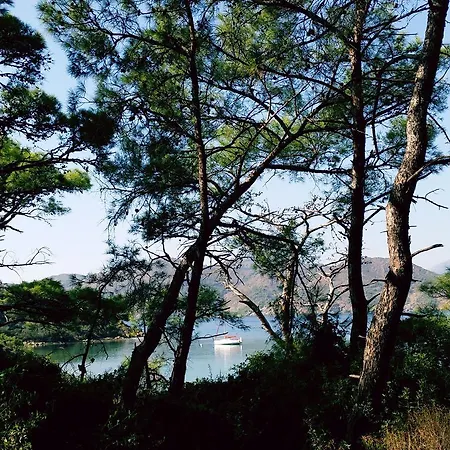 Datca Aktur Holiday Homes Villa Emecik